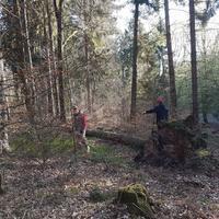 IMG-20180415-WA0028