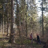 IMG-20180415-WA0031