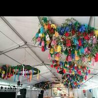 IMG 20220513 165523